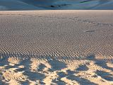 Great Sand Dunes 011